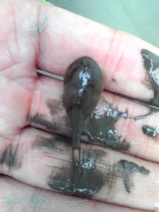 201007050826001.jpg