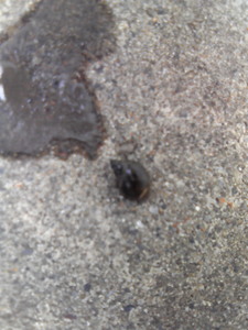 201007050825000.jpg