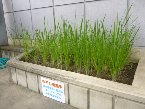 画像 002.jpg